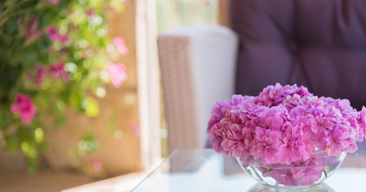 Asteria Villas Spartokhórion Dış mekan fotoğraf